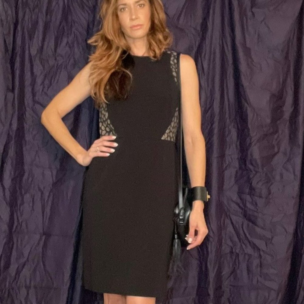 Ann Taylor LBD with animal print accents
